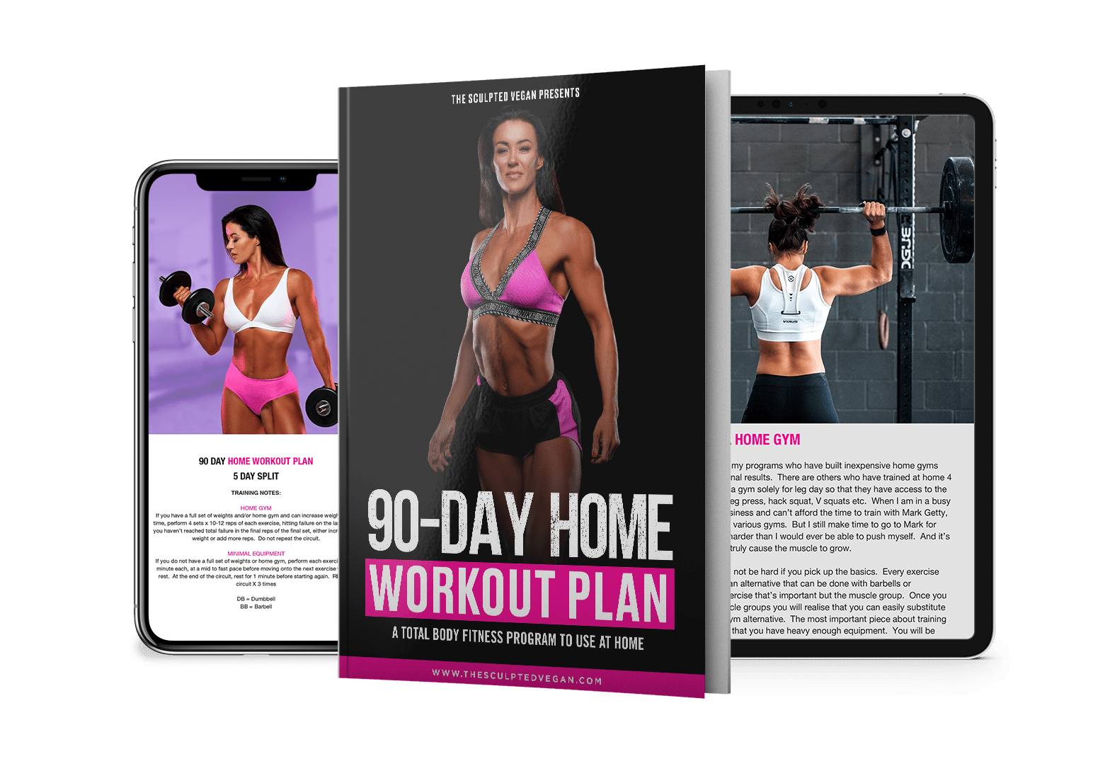 90 day bodyweight online workout plan